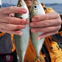 金沢八景鴨下丸 釣果