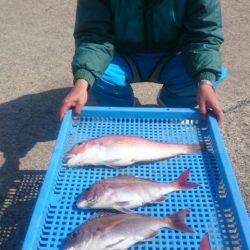 第三共栄丸 釣果