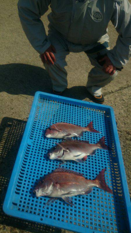 第三共栄丸 釣果