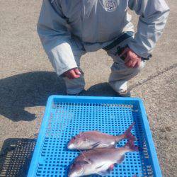 第三共栄丸 釣果