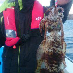 第三共栄丸 釣果