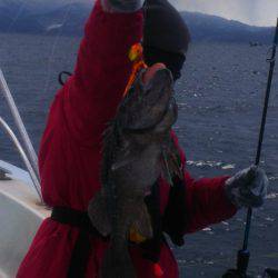 ブルドック 釣果