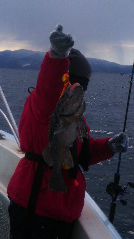 ブルドック 釣果