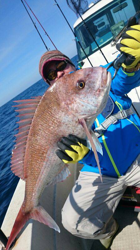 ARCADIAⅡ (アルカディアⅡ) 釣果