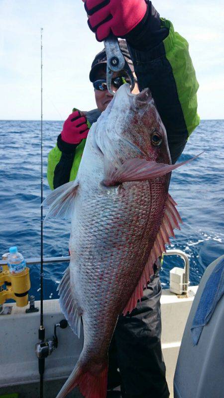 ARCADIAⅡ (アルカディアⅡ) 釣果