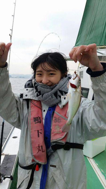 金沢八景鴨下丸 釣果