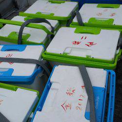 金沢八景鴨下丸 釣果