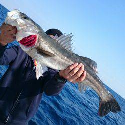 ARCADIAⅡ （アルカディアⅡ） 釣果