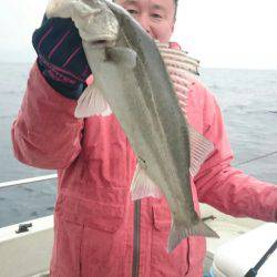 ARCADIAⅡ （アルカディアⅡ） 釣果