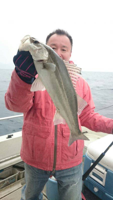 ARCADIAⅡ （アルカディアⅡ） 釣果