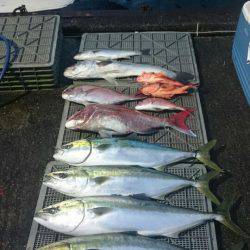 ARCADIAⅡ （アルカディアⅡ） 釣果