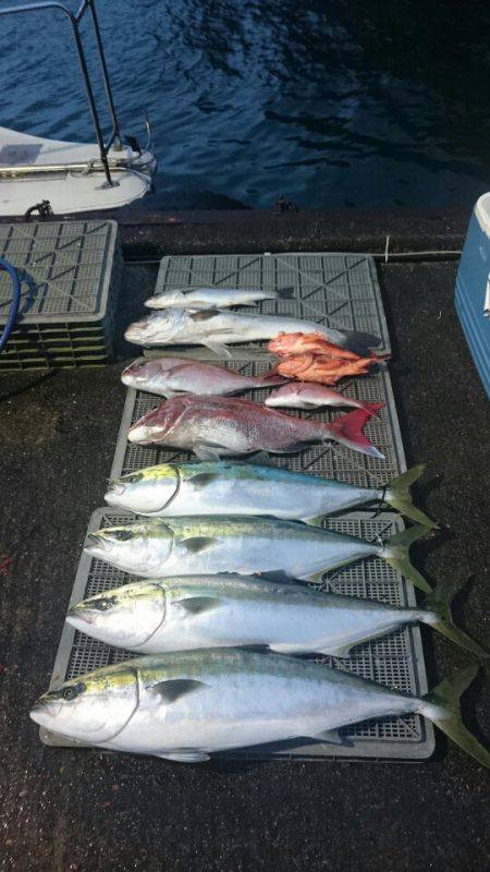 ARCADIAⅡ （アルカディアⅡ） 釣果