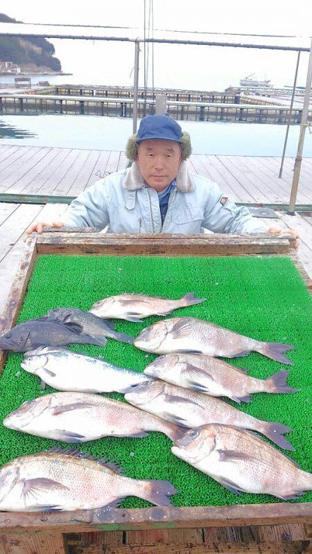海の釣堀 海恵 釣果