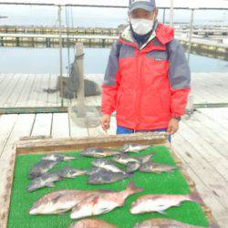 海の釣堀 海恵 釣果