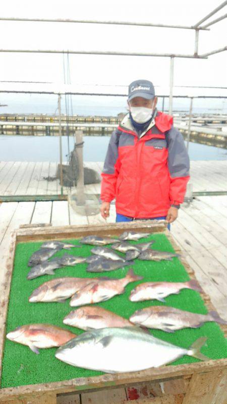 海の釣堀 海恵 釣果