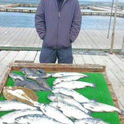 海の釣堀 海恵 釣果