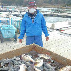 海の釣堀 海恵 釣果