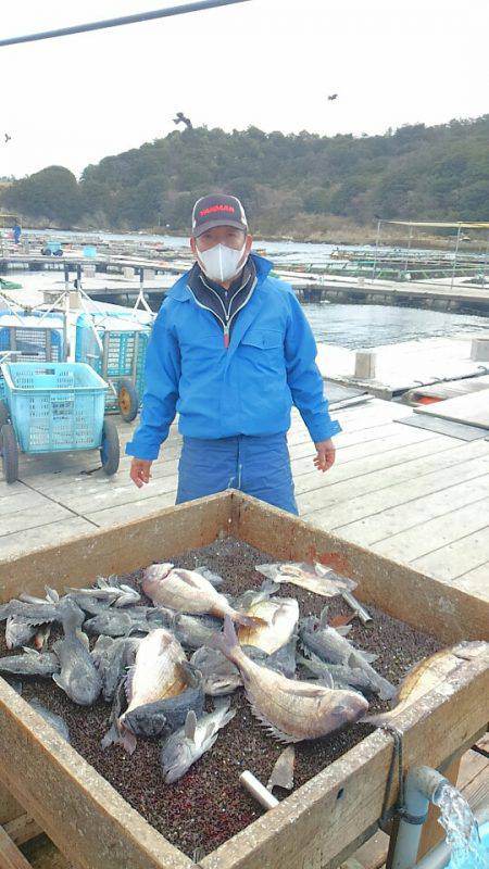 海の釣堀 海恵 釣果