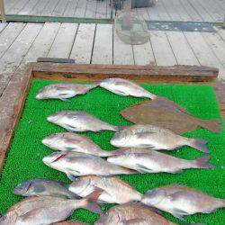 海の釣堀 海恵 釣果