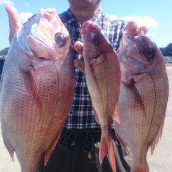 第三共栄丸 釣果