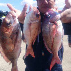 第三共栄丸 釣果