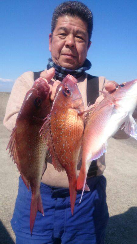 第三共栄丸 釣果