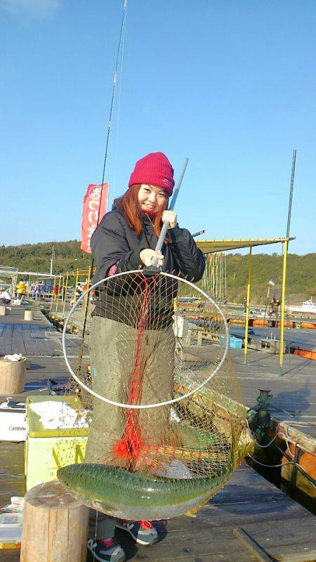 海の釣堀 海恵 釣果