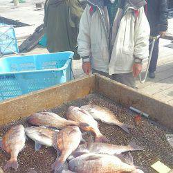 海の釣堀 海恵 釣果