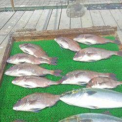 海の釣堀 海恵 釣果