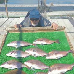 海の釣堀 海恵 釣果