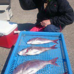 第三共栄丸 釣果