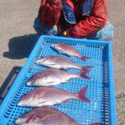 第三共栄丸 釣果