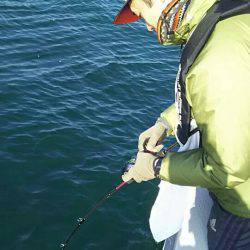 タイラバ遊漁船 ワンピース 釣果