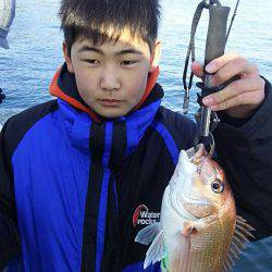 タイラバ遊漁船 ワンピース 釣果