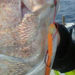 サンマリン 釣果