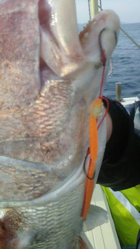 サンマリン 釣果