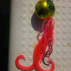 サンマリン 釣果