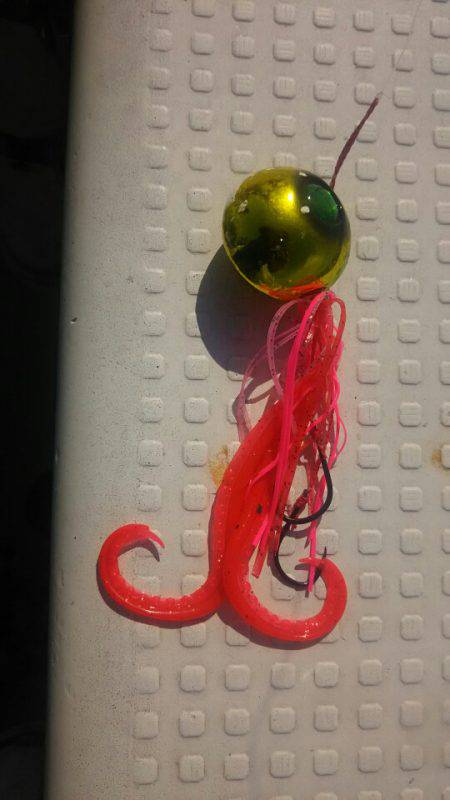 サンマリン 釣果