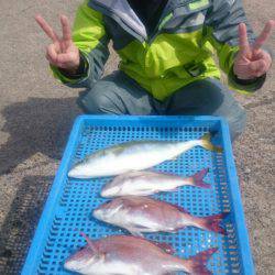 第三共栄丸 釣果