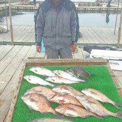 海の釣堀 海恵 釣果