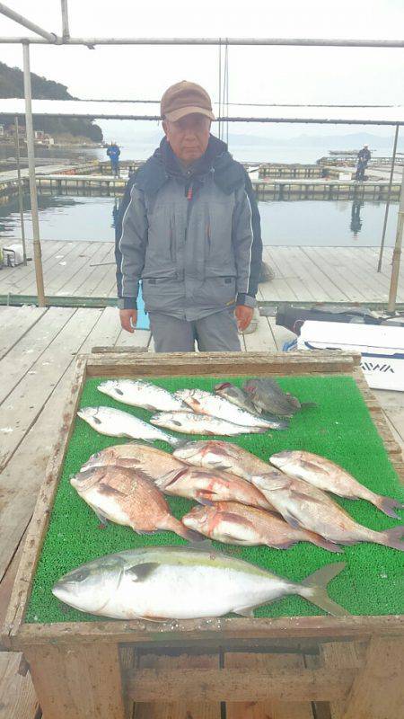 海の釣堀 海恵 釣果
