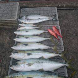 ARCADIAⅡ （アルカディアⅡ） 釣果