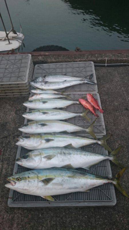 ARCADIAⅡ （アルカディアⅡ） 釣果