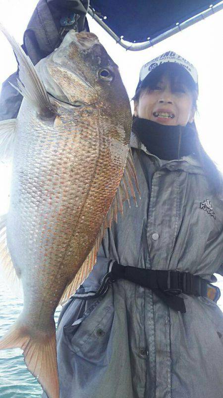 タイラバ遊漁船 ワンピース 釣果