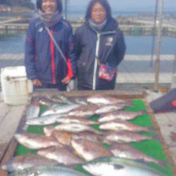海の釣堀 海恵 釣果