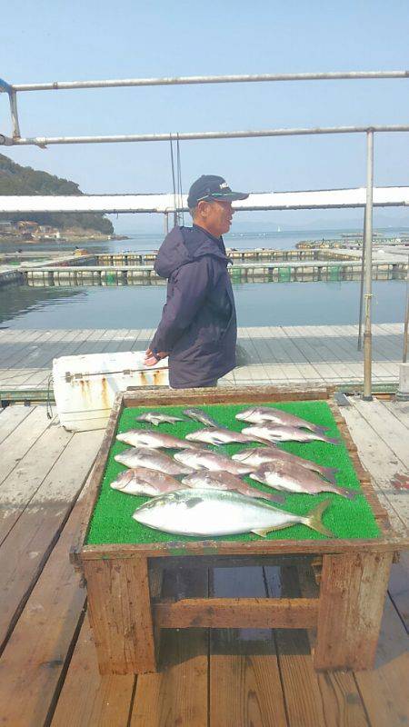 海の釣堀 海恵 釣果