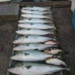 ARCADIAⅡ (アルカディアⅡ) 釣果