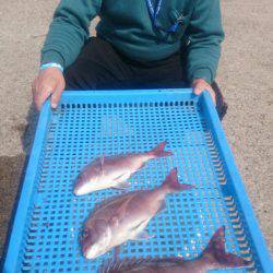 第三共栄丸 釣果