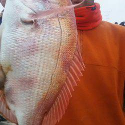 サンマリン 釣果