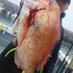 サンマリン 釣果